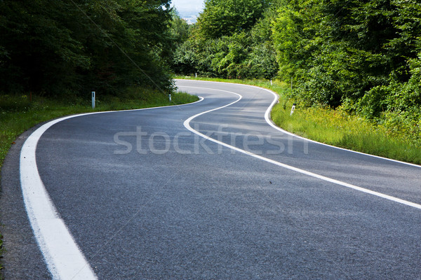 Stockfoto: Asfalt · weg · rechtdoor · leidend · bos · straat
