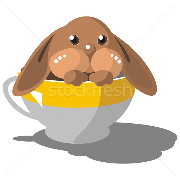 Hare in cup in color 08 Stock photo © Dimanchik