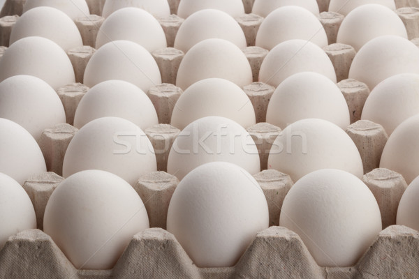 Alb ouă proaspăt şedinţei mare Imagine de stoc © DimaP