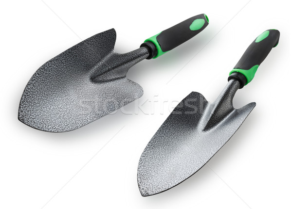 Grădină cazma izolat alb floare verde Imagine de stoc © DimaP