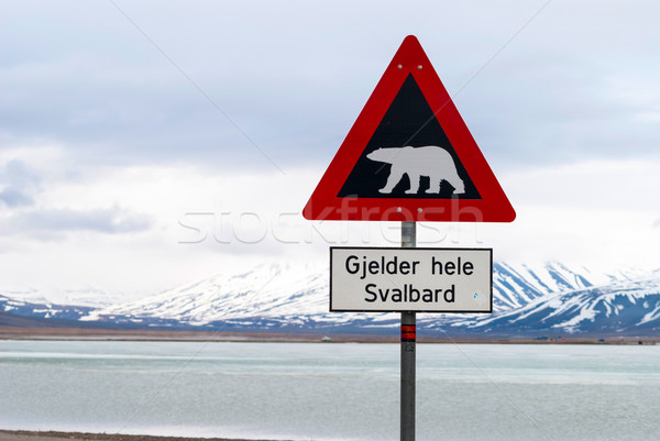 Polar bears warning sign Stock photo © dinozzaver