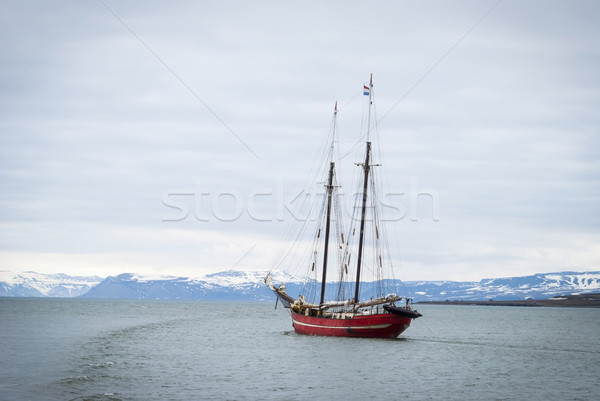 Ship sailing in the arctic sea, Svalbard Stock photo © dinozzaver