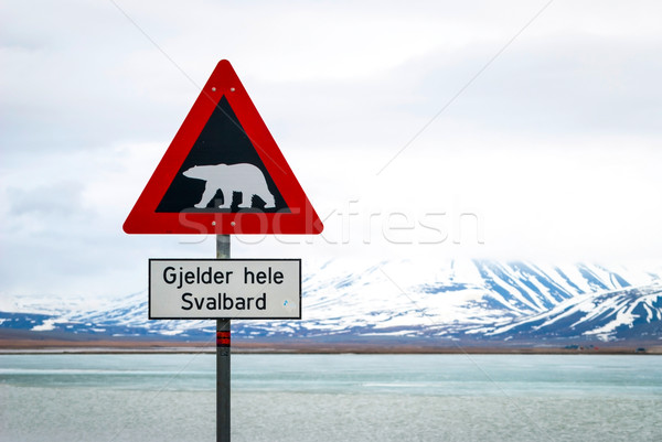 Polar bears warning sign Stock photo © dinozzaver