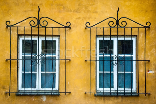 Kettő ablakok díszítő fém öreg építkezés Stock fotó © dinozzaver
