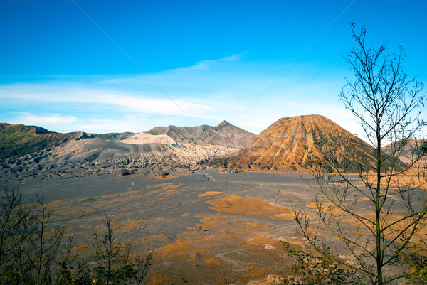 Volkanik plato java Endonezya gökyüzü manzara Stok fotoğraf © dinozzaver