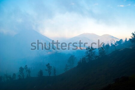 Stock photo: View forest silhouette in the monuntains of Kawah Ijen, Indonesi