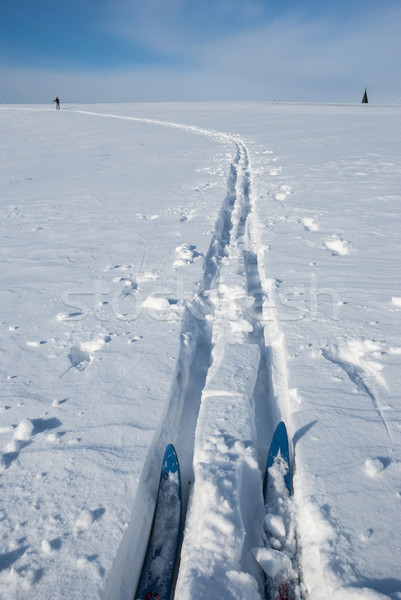 Cross country ski track Stock photo © dinozzaver