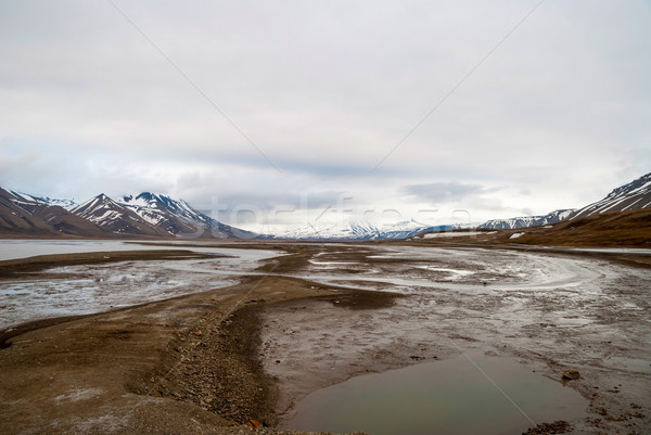 Arctic tundra in early summer mud, Svalbard Stock photo © dinozzaver