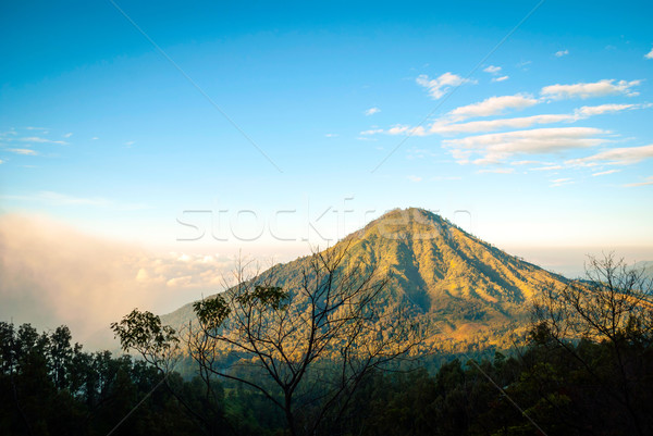 View over landscape at Kawah ijen crater, Indonesia Stock photo © dinozzaver