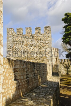 Torres Novas Castle Stock photo © dinozzaver