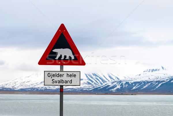 Polar bears warning sign Stock photo © dinozzaver