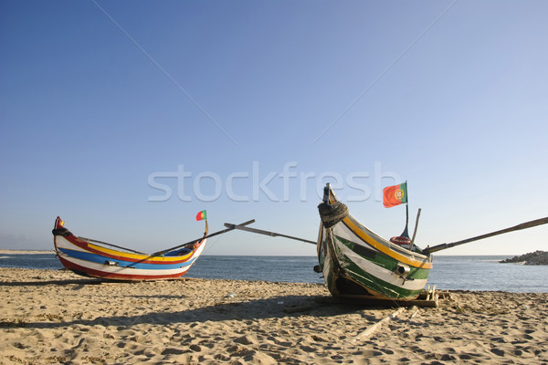 Oude vissen boten typisch strand water Stockfoto © dinozzaver