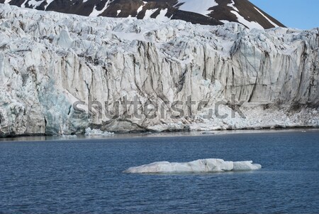 Icebergs in front of the glacier, Svalbard, Arctic Stock photo © dinozzaver