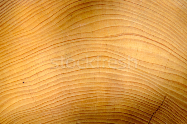 Wood texture Stock photo © dinozzaver