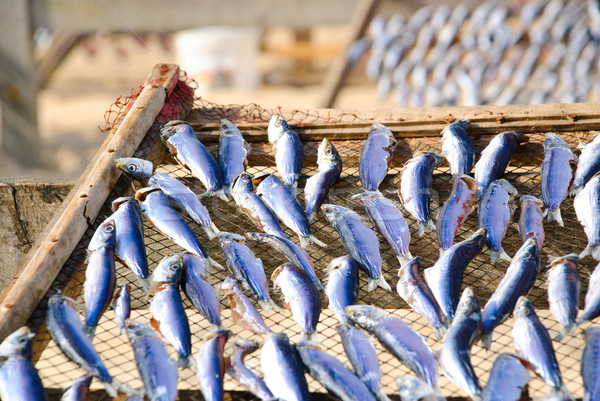 Fish drying closeup Stock photo © dinozzaver