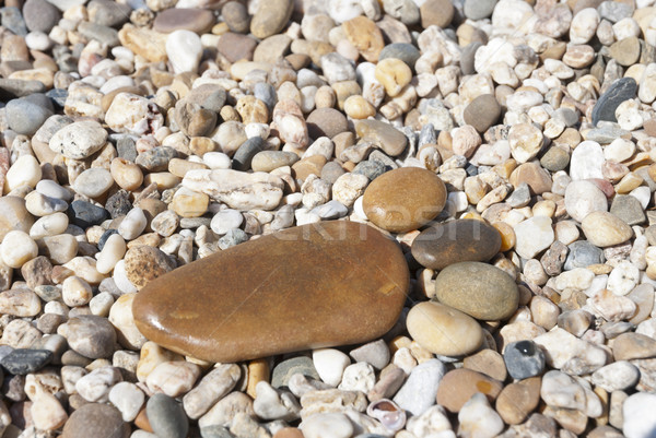 Stone foot on the stony beach Stock photo © dinozzaver