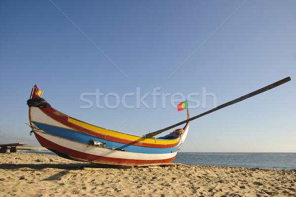 Oude vissen boten typisch strand water Stockfoto © dinozzaver