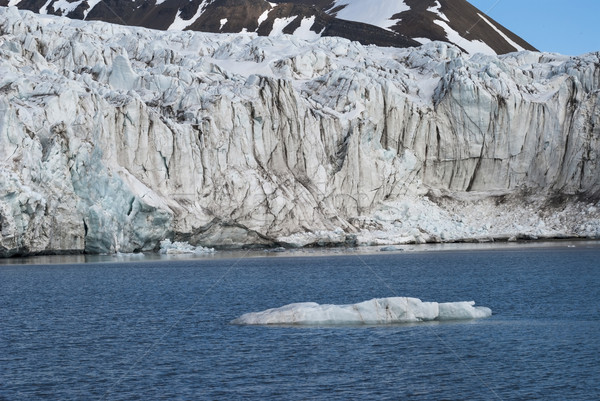 Icebergs in front of the glacier, Svalbard, Arctic Stock photo © dinozzaver