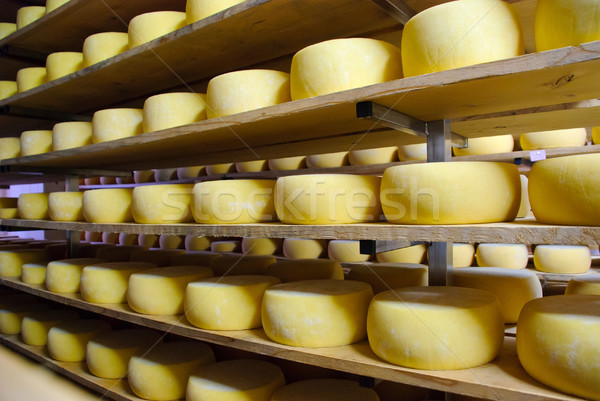 Peynir depolama arka plan turuncu yağ yeme Stok fotoğraf © dinozzaver