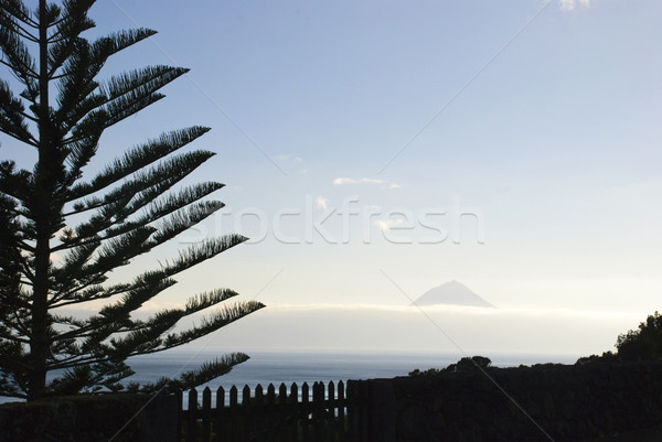 Pico with tree silhouette Stock photo © dinozzaver