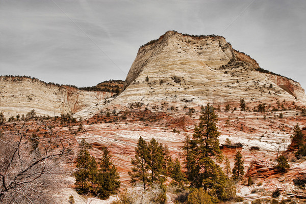 Parku południowy Utah USA charakter górskich Zdjęcia stock © diomedes66