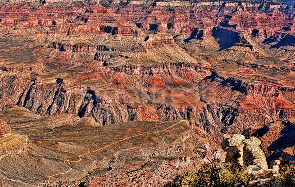 Tôt le matin Grand Canyon Arizona nature Rock montagnes [[stock_photo]] © diomedes66