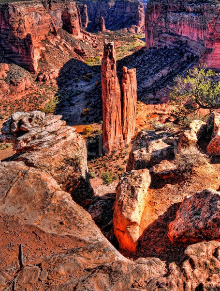 Spinne rock Canyon Eingang Wand Wüste Stock foto © diomedes66