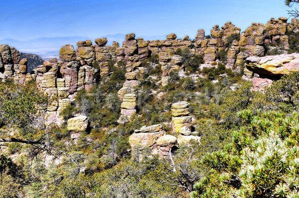 Chiricahua National Monument  Stock photo © diomedes66