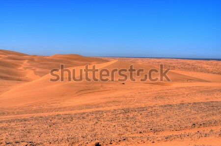 Piasku pustyni lata samotny Afryki środowiska Zdjęcia stock © diomedes66