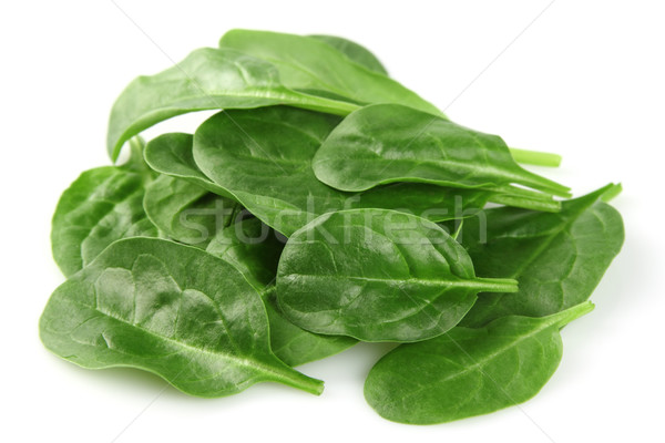 Spinazie groene jonge salade plant Stockfoto © Dionisvera