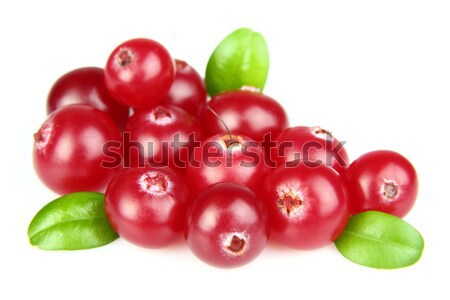 Fresh cranberry with leaves Stock photo © Dionisvera