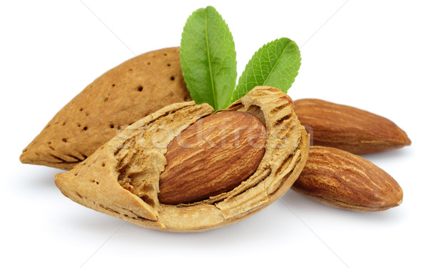 Almonds with leaves Stock photo © Dionisvera