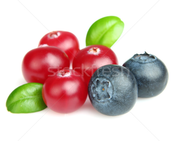 Cranberry with blueberry Stock photo © Dionisvera