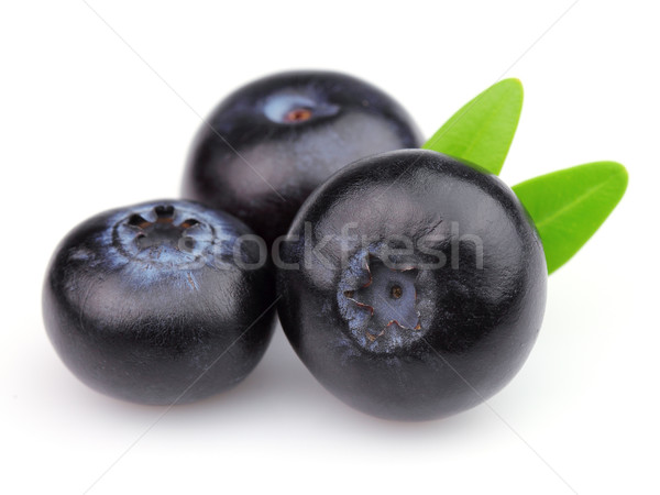 Zdjęcia stock: Dojrzały · owoców · zielone · nasion