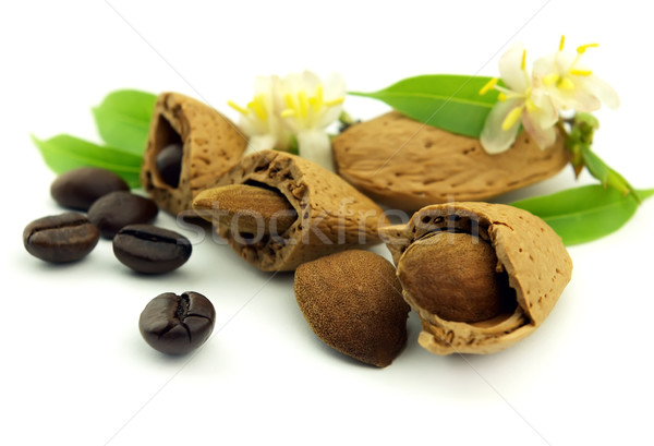 Almond and coffee Stock photo © Dionisvera