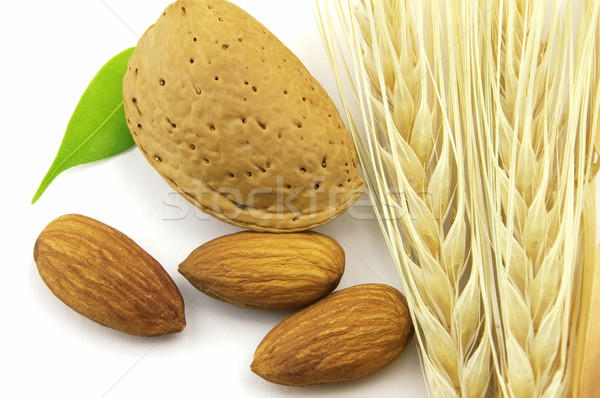 Almonds with wheat Stock photo © Dionisvera