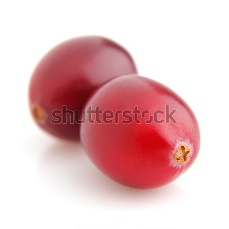 Cranberries Stock photo © Dionisvera