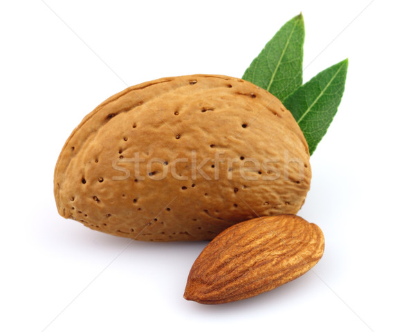 Sweet almonds with leaves Stock photo © Dionisvera