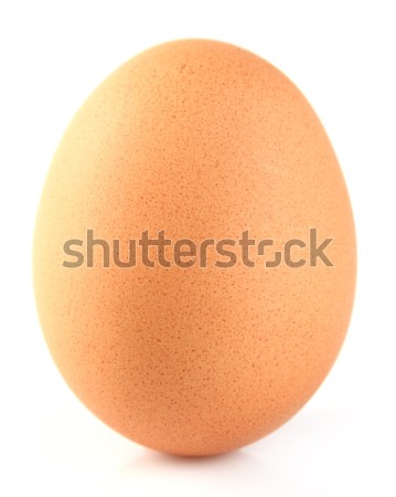Stock photo: One egg in closeup