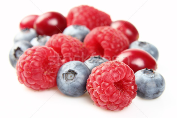 Imagine de stoc: Fructe · de · padure · proaspăt · natură · medicină · roşu
