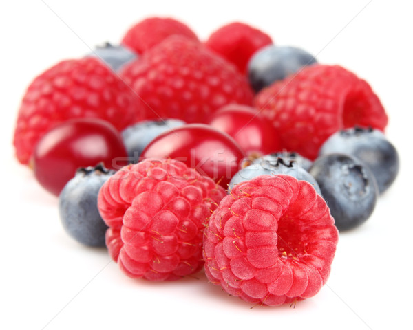 Imagine de stoc: Proaspăt · fructe · de · padure · alb · natură · medicină · roşu