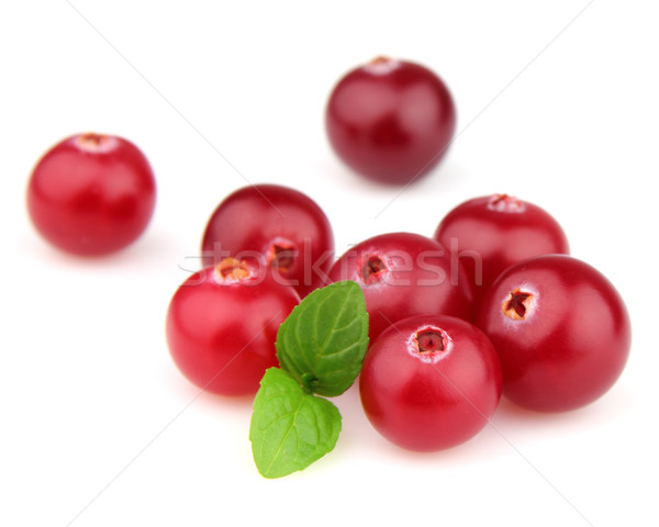 Cranberry with mint Stock photo © Dionisvera