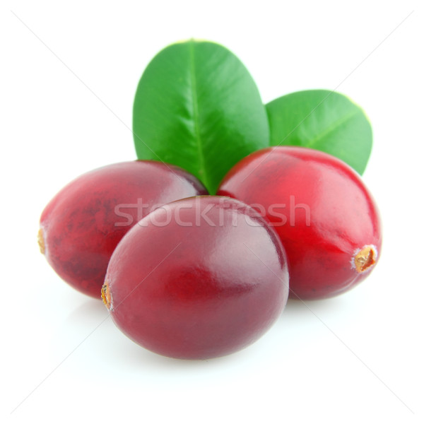Cranberry in closeup Stock photo © Dionisvera