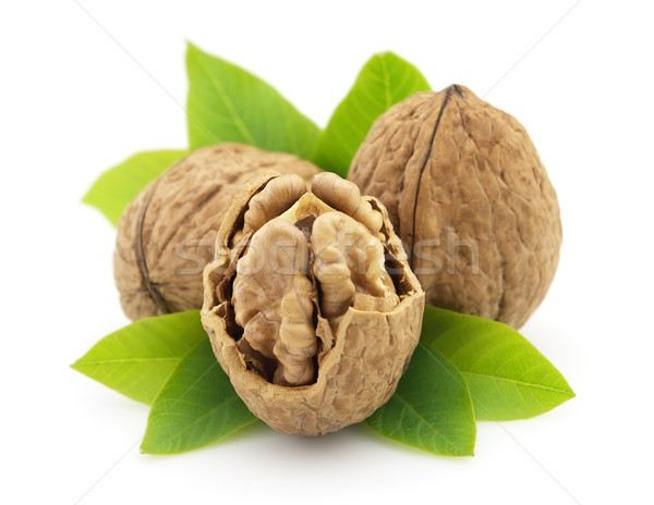 Dried walnuts  Stock photo © Dionisvera