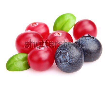 Cranberry with blueberry Stock photo © Dionisvera