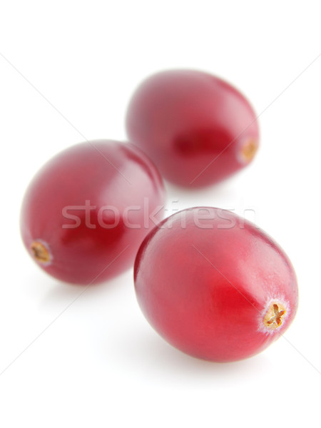 Ripe cranberry in closeup Stock photo © Dionisvera