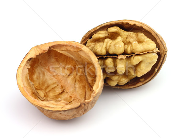 Stock photo: Open walnut in closeup