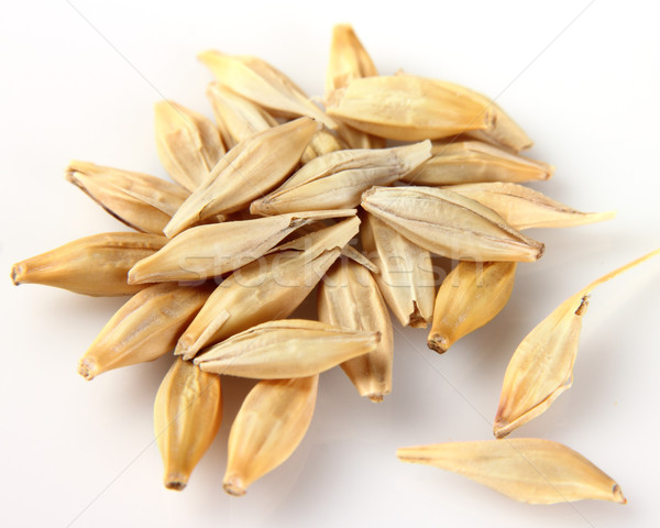 Oats in closeup Stock photo © Dionisvera