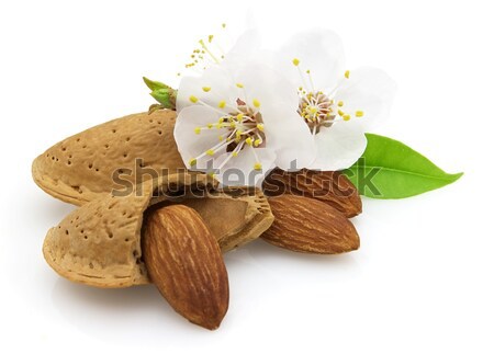 Rose fleurs séché alimentaire laisse [[stock_photo]] © Dionisvera