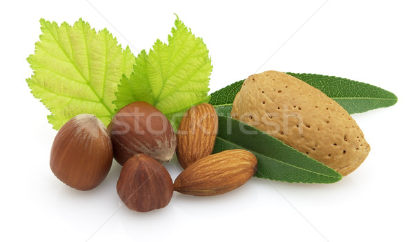 Almonds with filbert Stock photo © Dionisvera